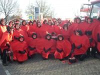 loopgroep 2013 hart voor carnaval